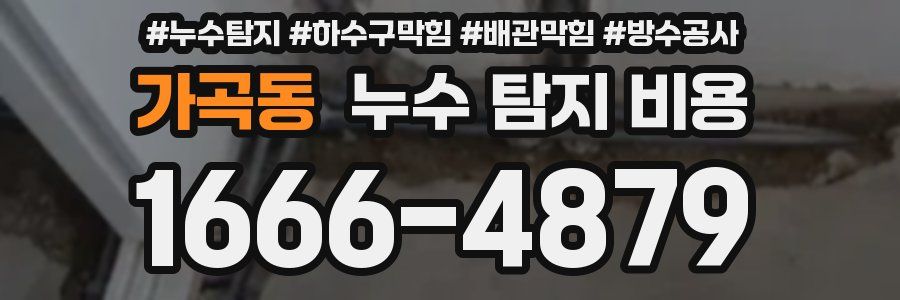 가곡동 누수 탐지 비용