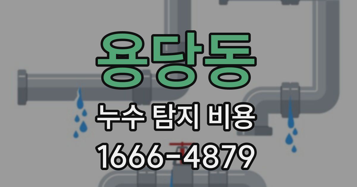 용당동 누수 탐지 비용