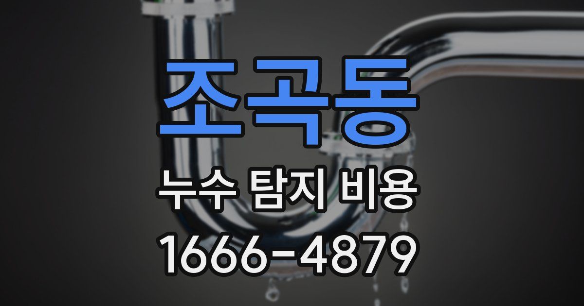 조곡동 누수 탐지 비용