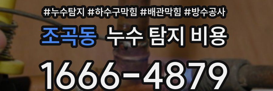 조곡동 누수 탐지 비용