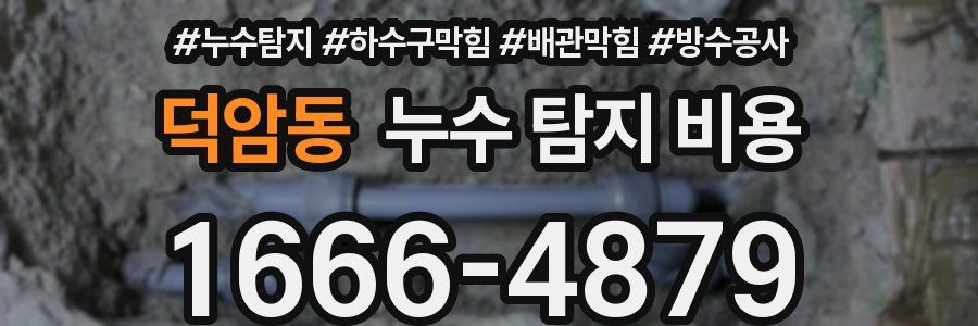 덕암동 누수 탐지 비용