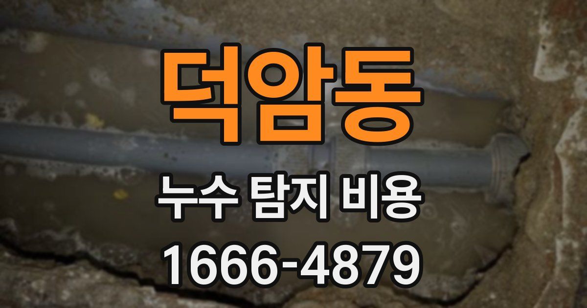 덕암동 누수 탐지 비용