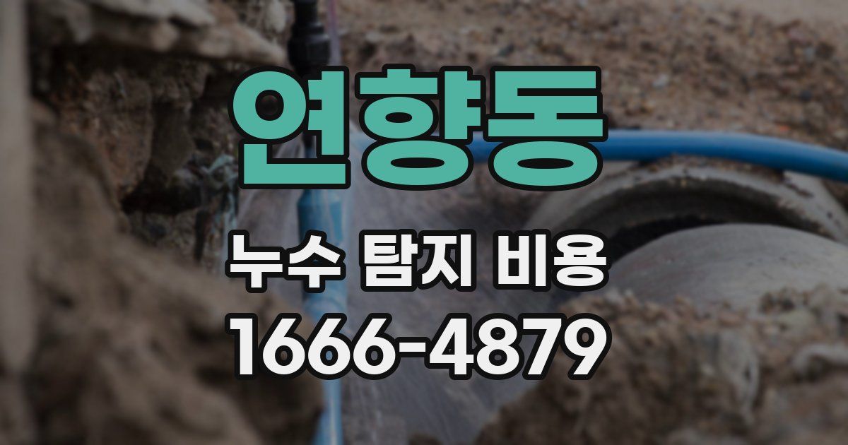 연향동 누수 탐지 비용