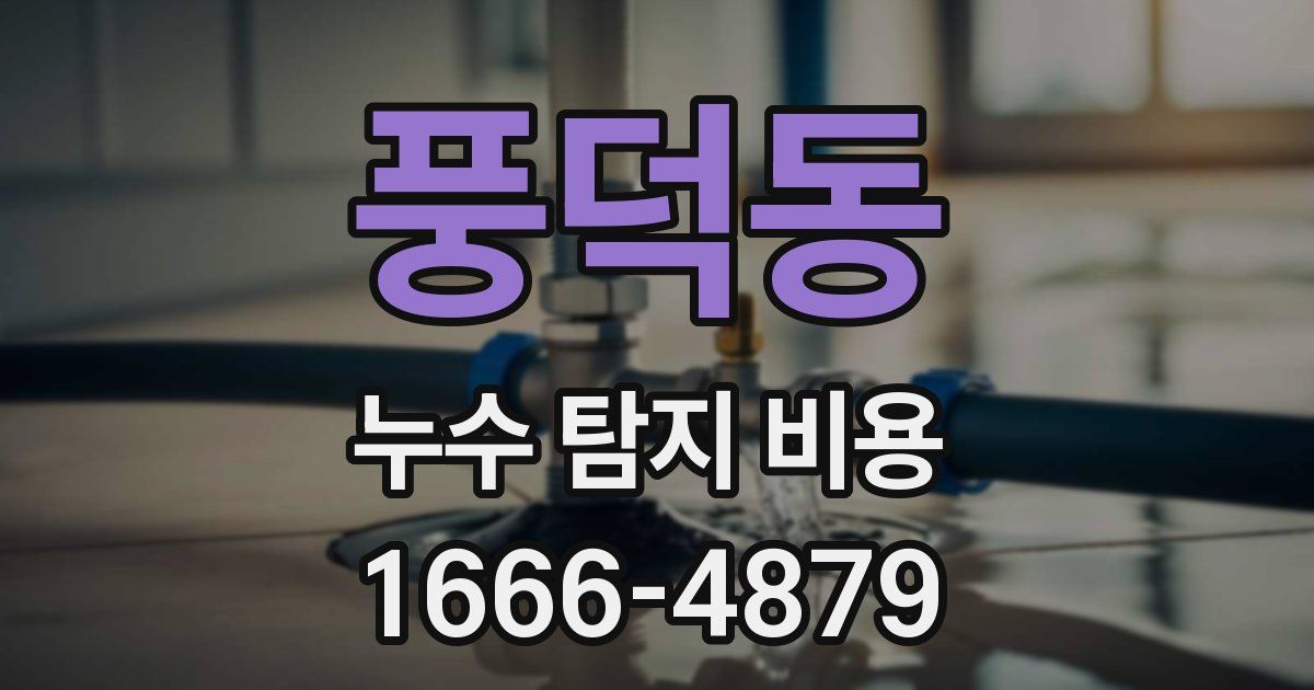 풍덕동 누수 탐지 비용