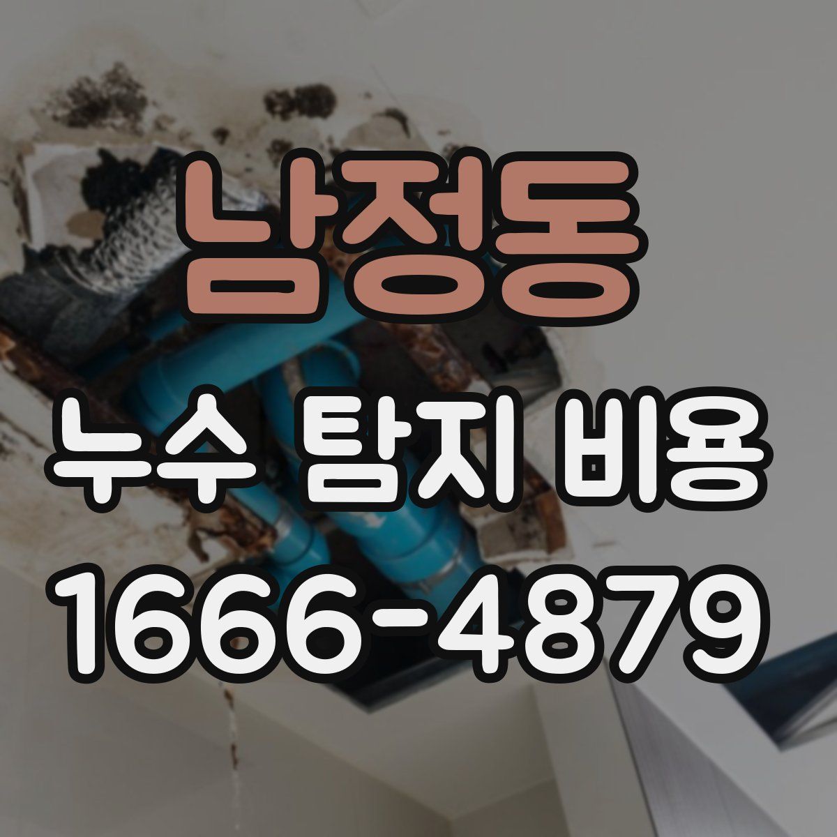 남정동 누수 탐지 비용