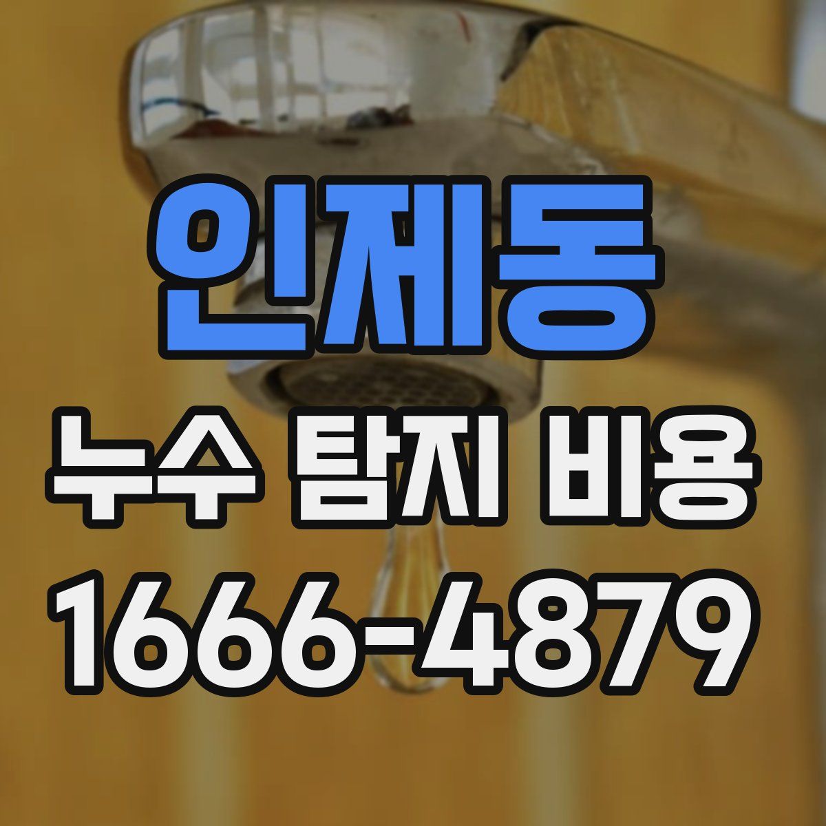 인제동 누수 탐지 비용