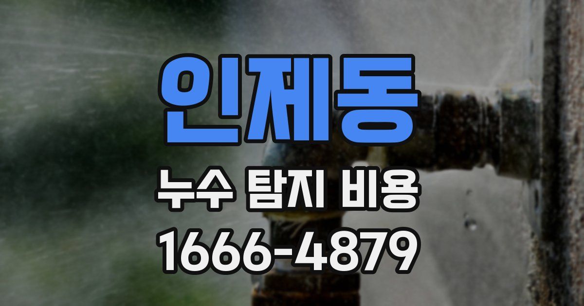 인제동 누수 탐지 비용