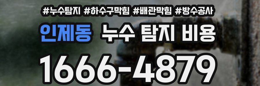 인제동 누수 탐지 비용