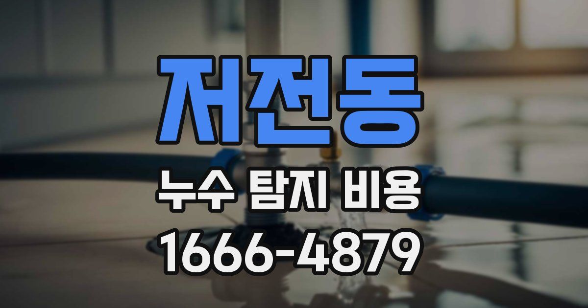 저전동 누수 탐지 비용