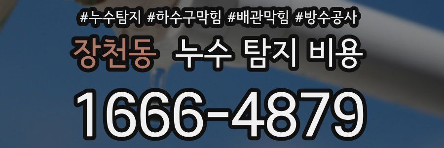 장천동 누수 탐지 비용