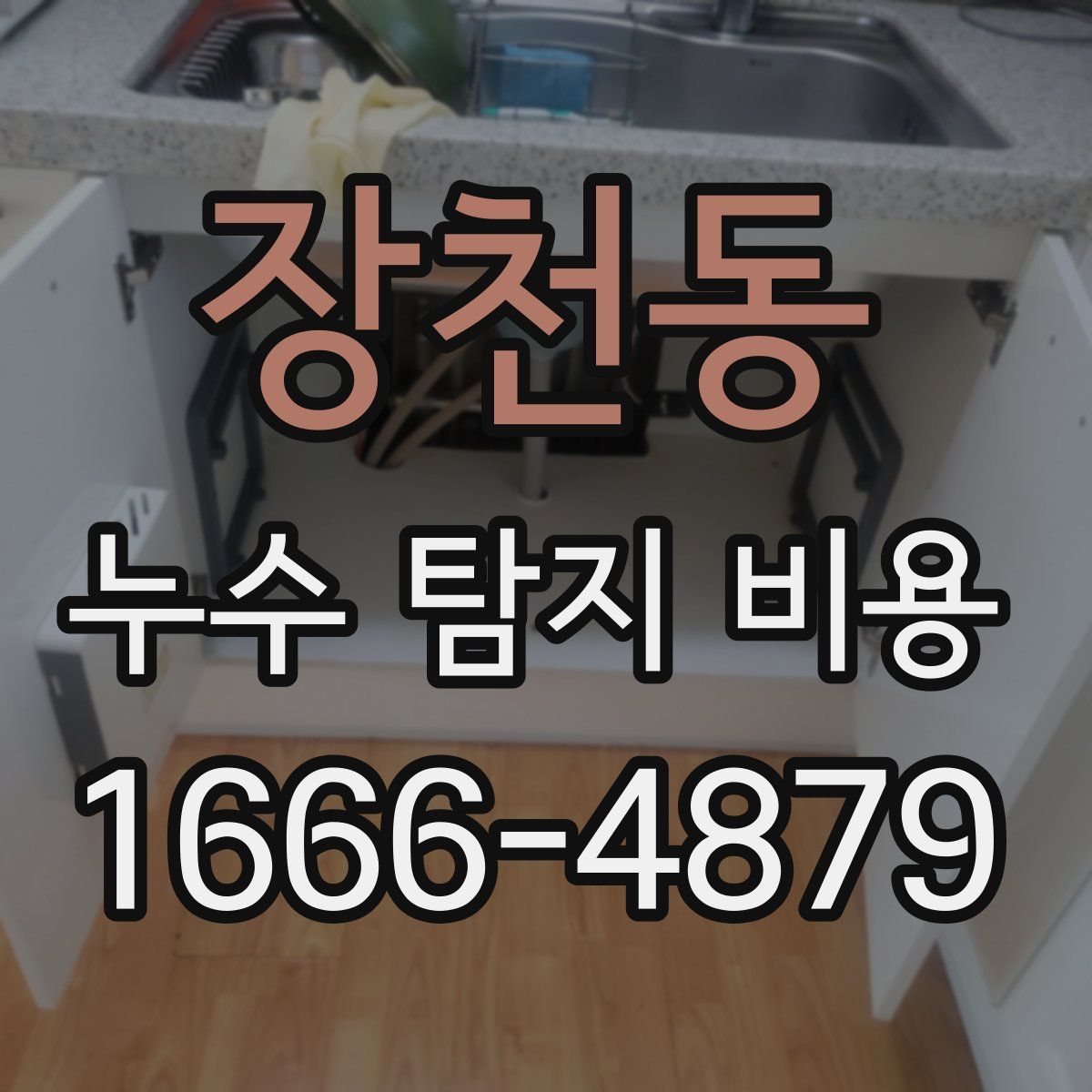 장천동 누수 탐지 비용