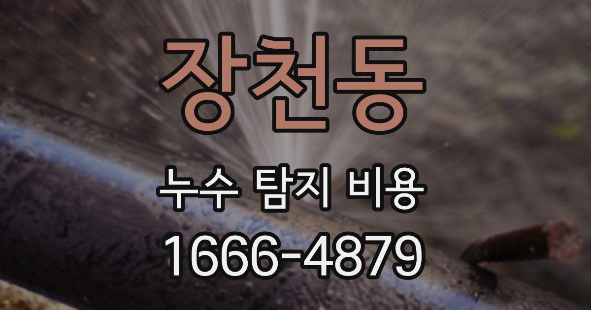 장천동 누수 탐지 비용