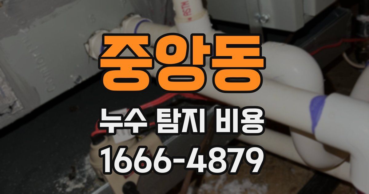 중앙동 누수 탐지 비용