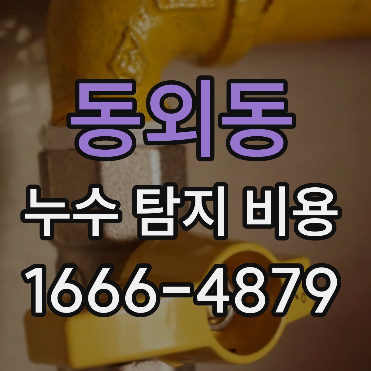 동외동 누수 탐지 비용