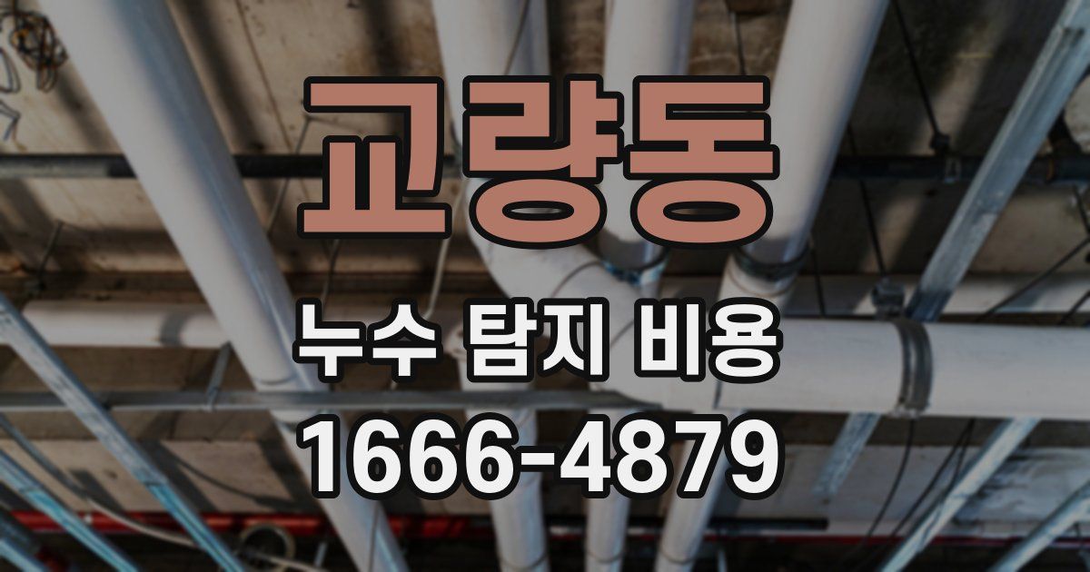 교량동 누수 탐지 비용