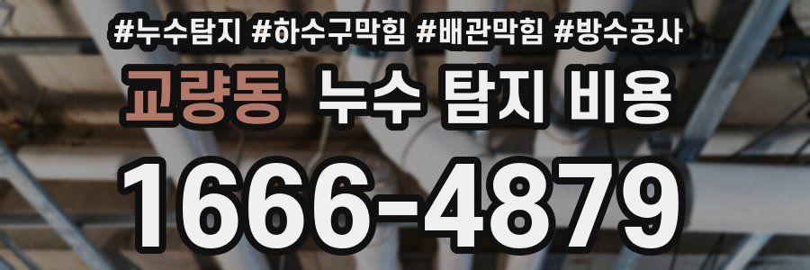 교량동 누수 탐지 비용