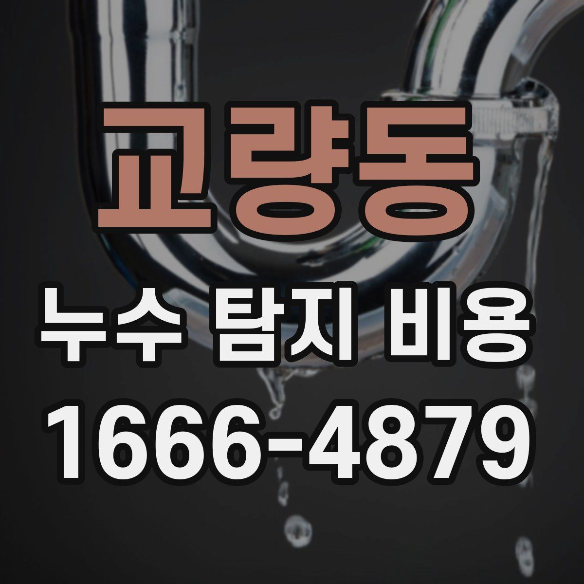 교량동 누수 탐지 비용