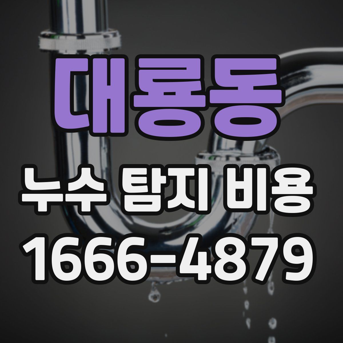 대룡동 누수 탐지 비용