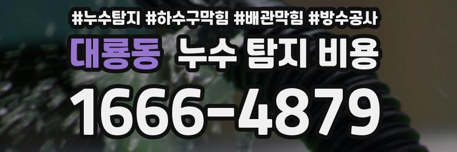 대룡동 누수 탐지 비용