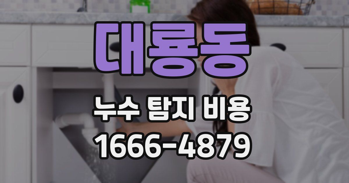대룡동 누수 탐지 비용