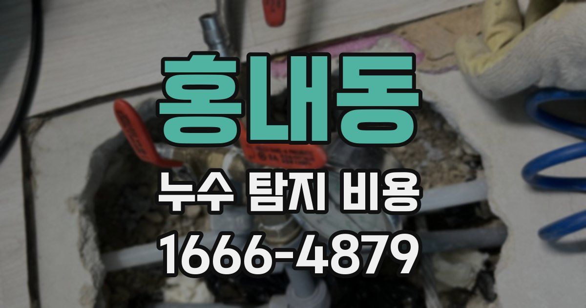 홍내동 누수 탐지 비용
