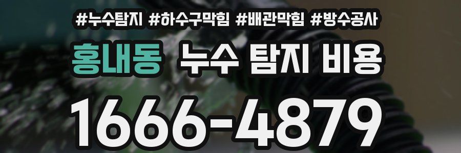홍내동 누수 탐지 비용