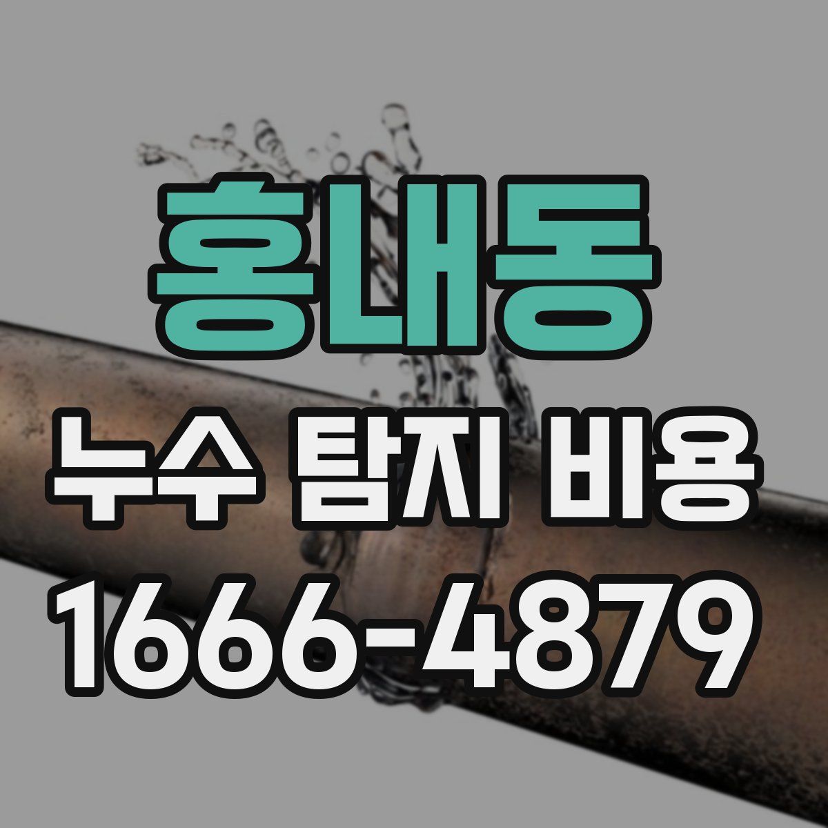 홍내동 누수 탐지 비용