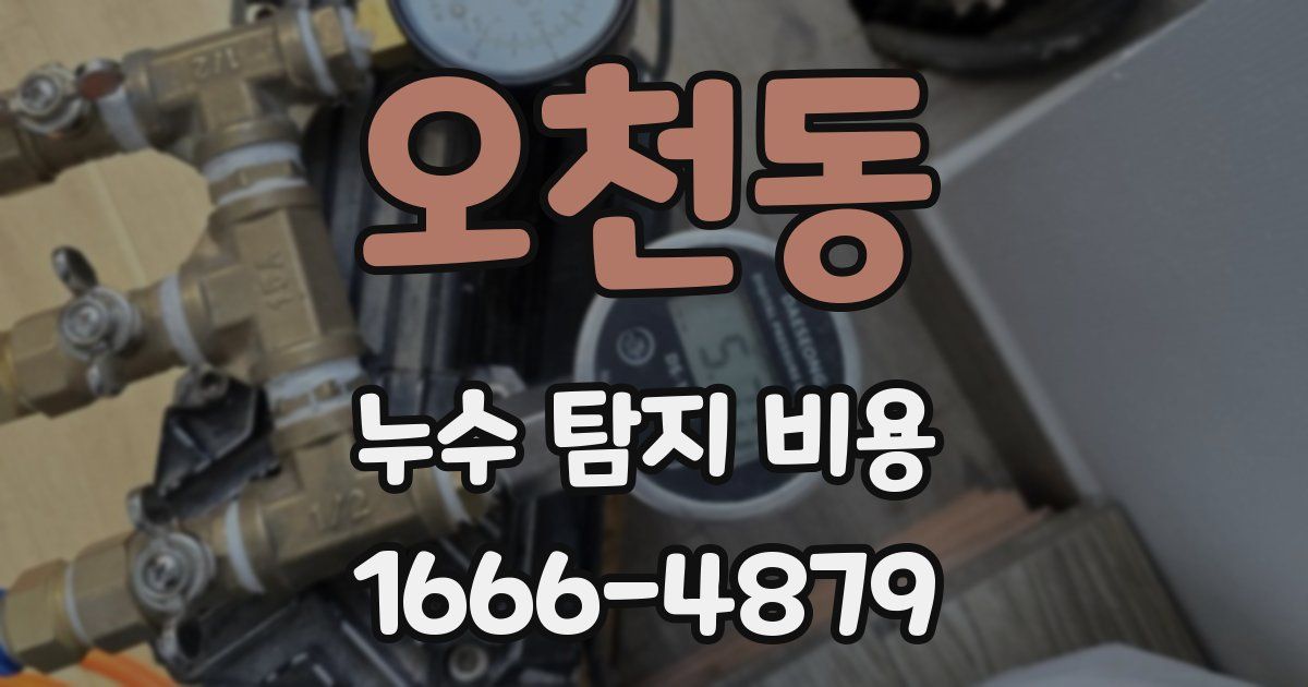 오천동 누수 탐지 비용