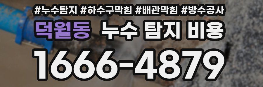 덕월동 누수 탐지 비용