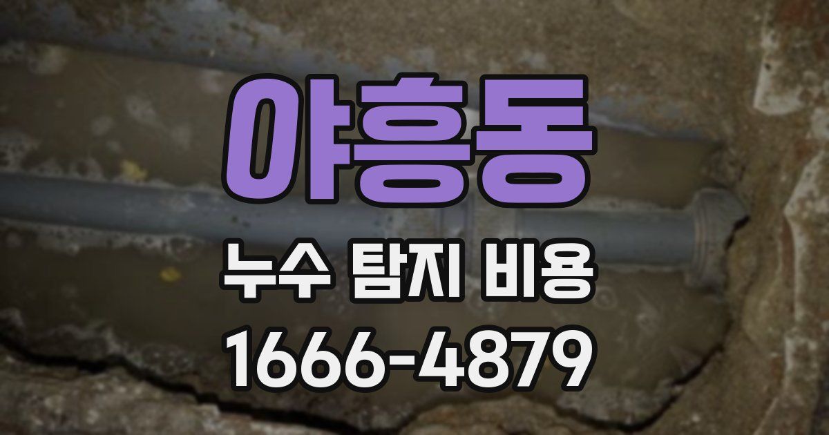야흥동 누수 탐지 비용