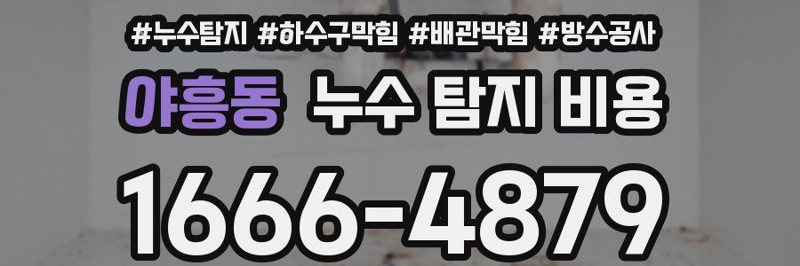 야흥동 누수 탐지 비용