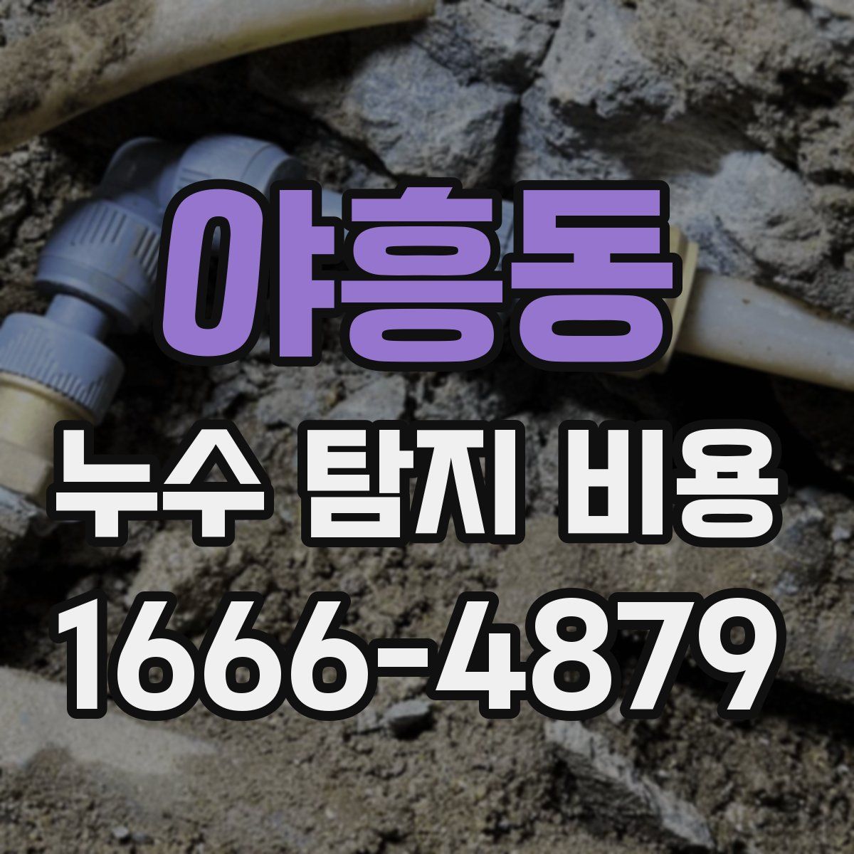 야흥동 누수 탐지 비용
