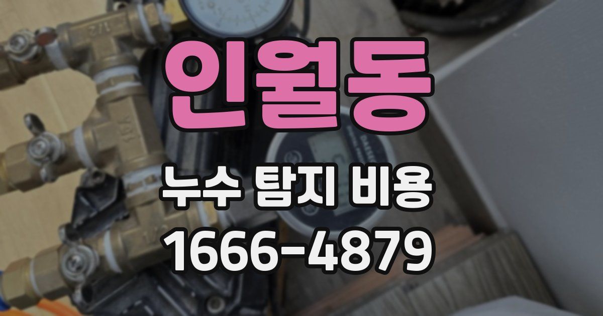 인월동 누수 탐지 비용