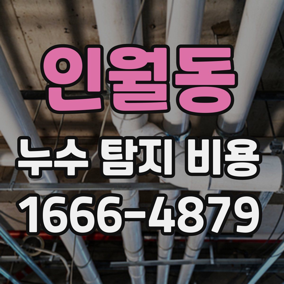 인월동 누수 탐지 비용