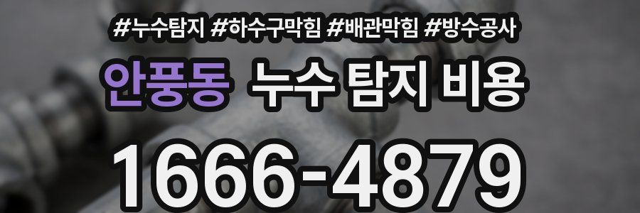 안풍동 누수 탐지 비용