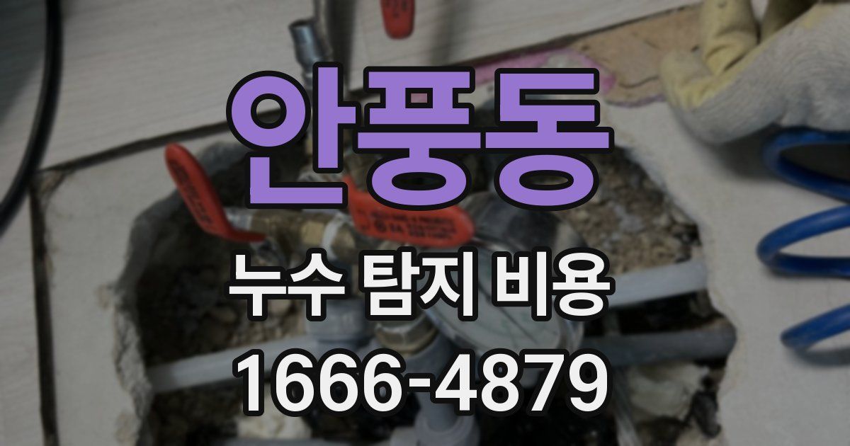 안풍동 누수 탐지 비용