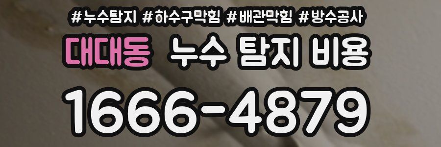 대대동 누수 탐지 비용