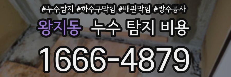 왕지동 누수 탐지 비용