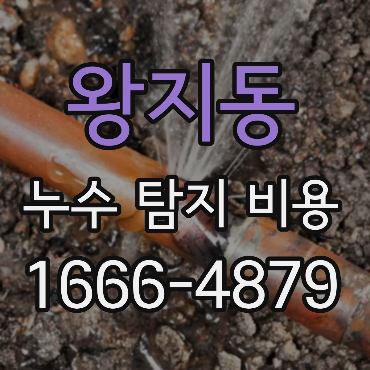 왕지동 누수 탐지 비용