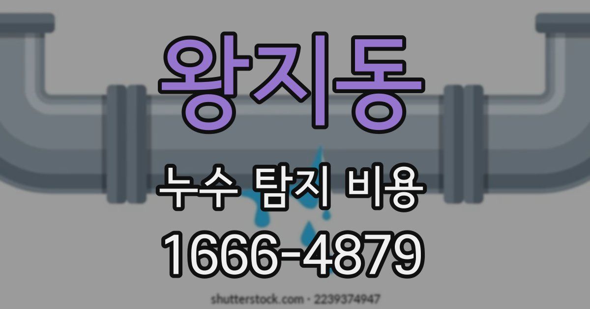 왕지동 누수 탐지 비용