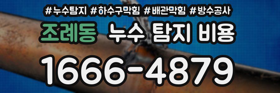조례동 누수 탐지 비용