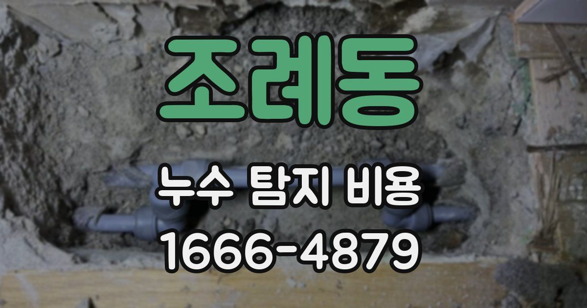 조례동 누수 탐지 비용