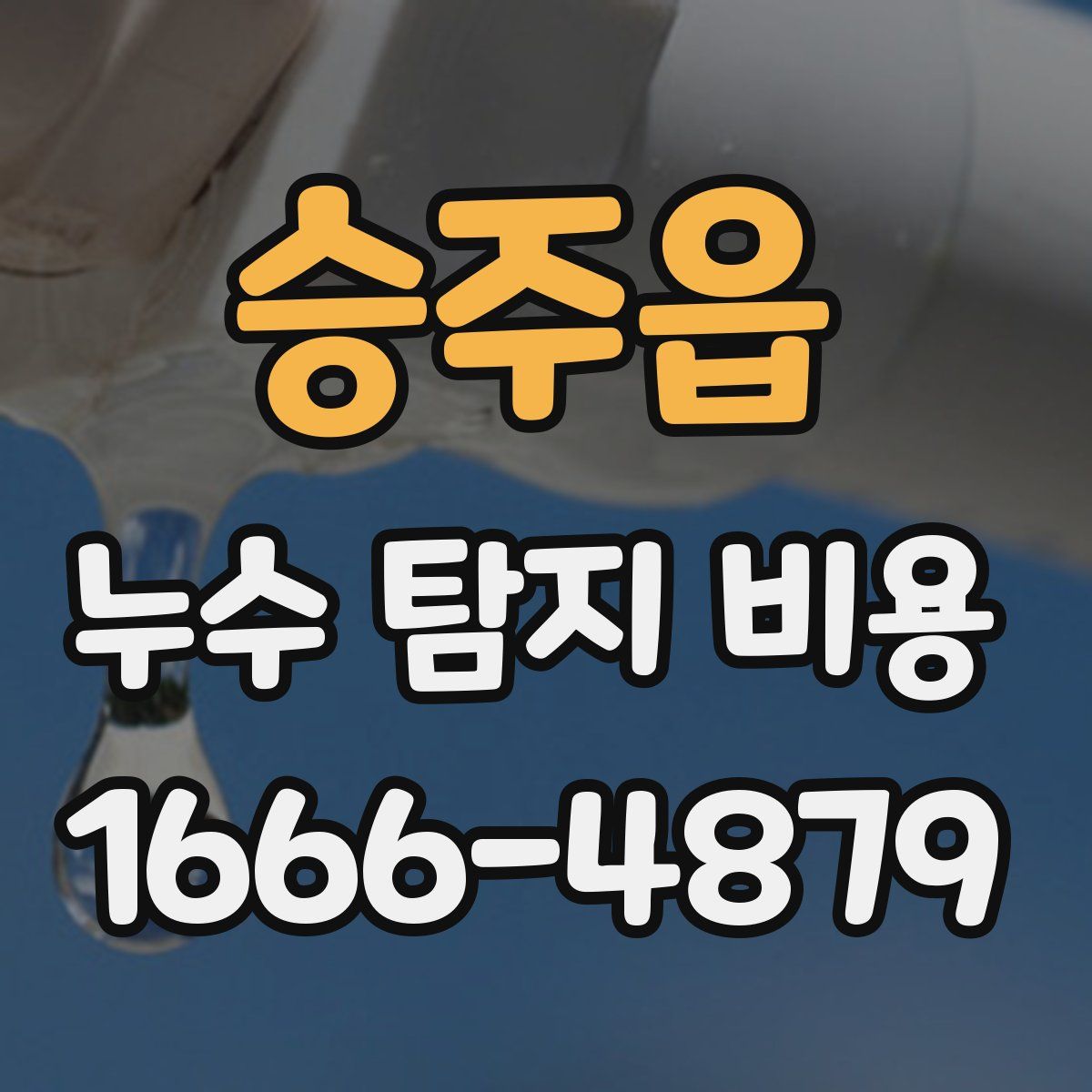 승주읍 누수 탐지 비용