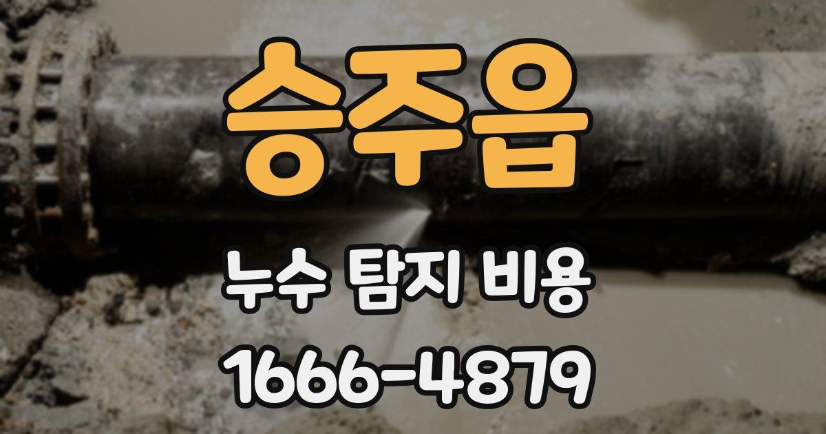 승주읍 누수 탐지 비용