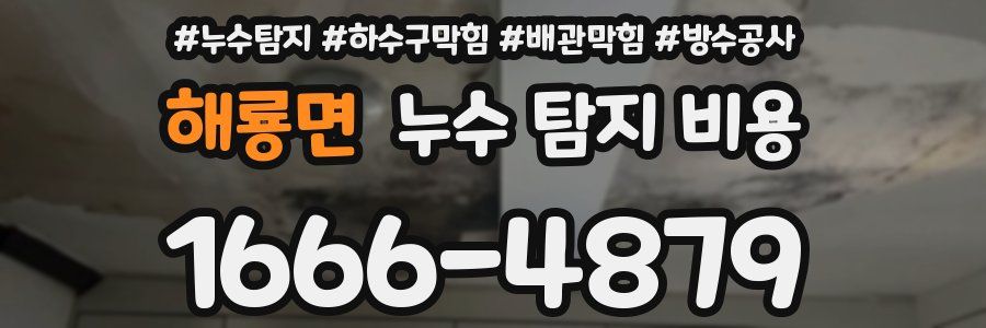 해룡면 누수 탐지 비용