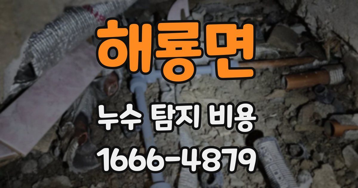 해룡면 누수 탐지 비용