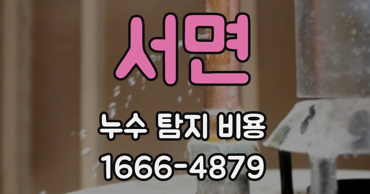 서면 누수 탐지 비용