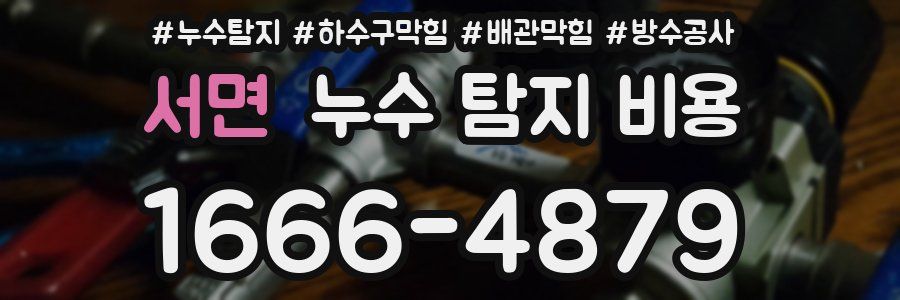 서면 누수 탐지 비용