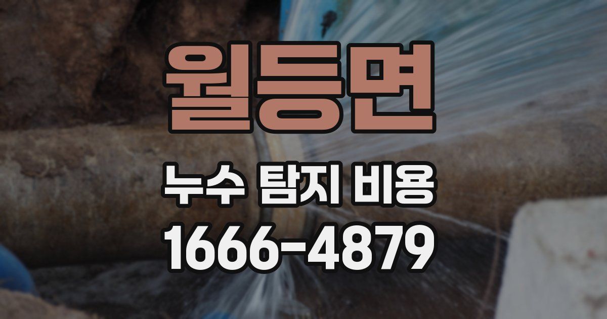 월등면 누수 탐지 비용
