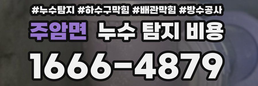 주암면 누수 탐지 비용